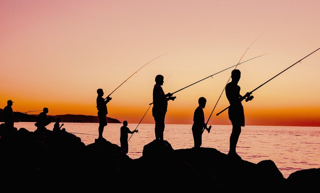 fishing, nature, sunset, fishermen, silhouette-4933219.jpg