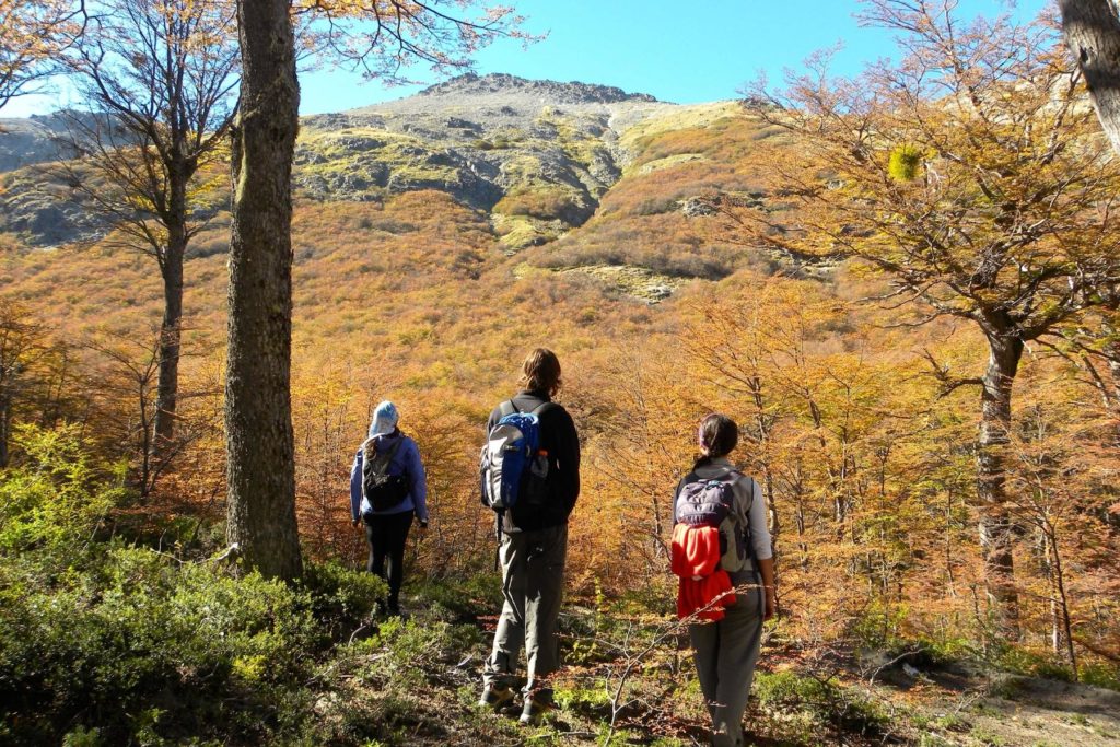 hiking in villa la angostura